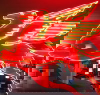 JFK Food and Culture Tour in Dallas - Accommodation Denver