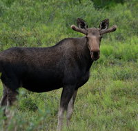Ultimate Alaskan Adventure - Accommodation Denver