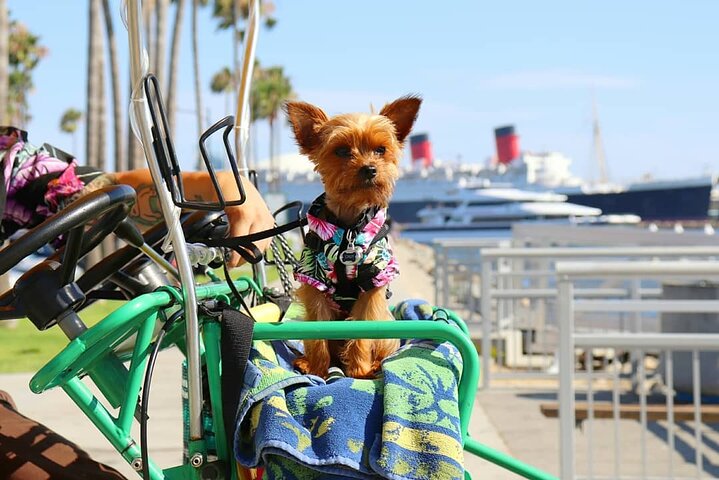 4-Wheel Surrey Cycle Rental In Long Beach Shoreline Village - thumb 3