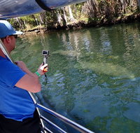 Manatee Viewing Cruise - Accommodation Denver