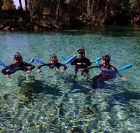 Small group Manatee snorkeling tour with in water guide - Accommodation Denver