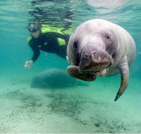 Small group Manatee Tour with In-Water Divemaster/Photographer - Accommodation Denver
