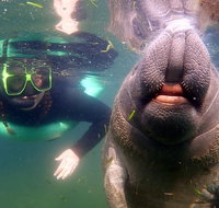 Private Manatee Tour - Accommodation Denver