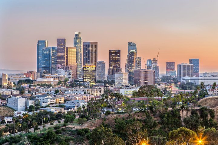 Los Angeles Airport Transfer: Los Angeles To Airport LAX In Luxury SUV - thumb 2