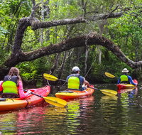 Amelia Island Guided Kayak Tour of Lofton Creek - Accommodation Denver