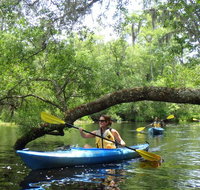 Guided Family Friendly Kayak Tour Experience Old Florida - Accommodation Denver