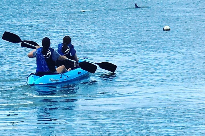 Paddle Board Rental Around Harbour Island - thumb 0