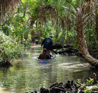 Clear Kayak Tours on Chassahowitzka River - Accommodation Denver