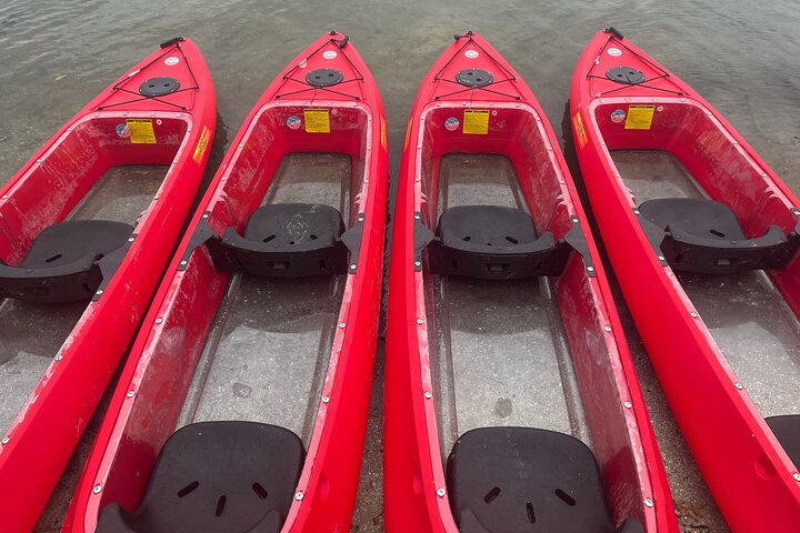 Indian River Clear Bottom Kayak Or Paddleboarding Manatee And Dolphin Tour - thumb 5