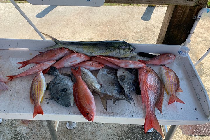 Jacksonville Fishing Charter-21' - thumb 0