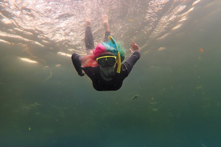 Small Group Manatee Snorkeling Adventure - thumb 1