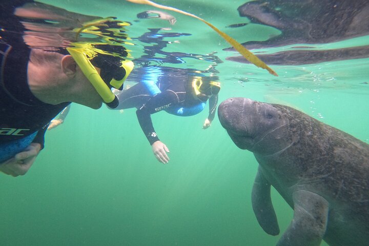 Small Group Manatee Snorkeling Adventure - thumb 2