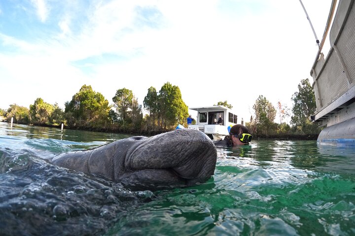 Small Group Manatee Snorkeling Adventure - thumb 3