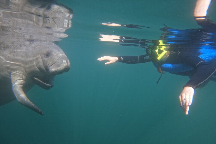 Small Group Manatee Snorkeling Adventure - thumb 5