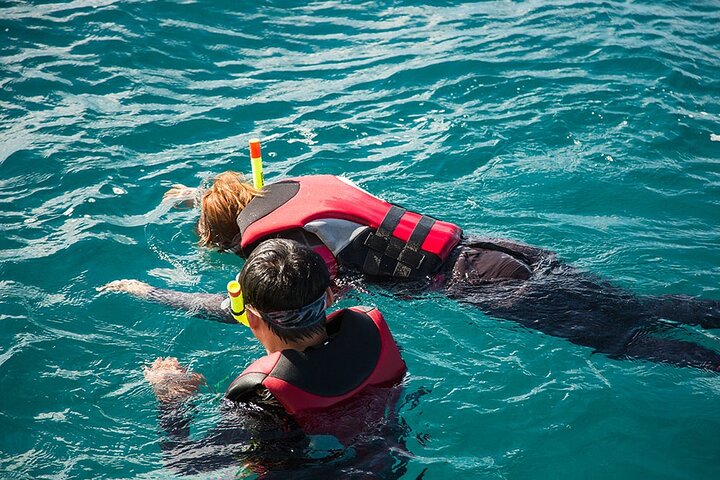 Waikiki Snorkeling Cruise With E SEA DIVER - thumb 0