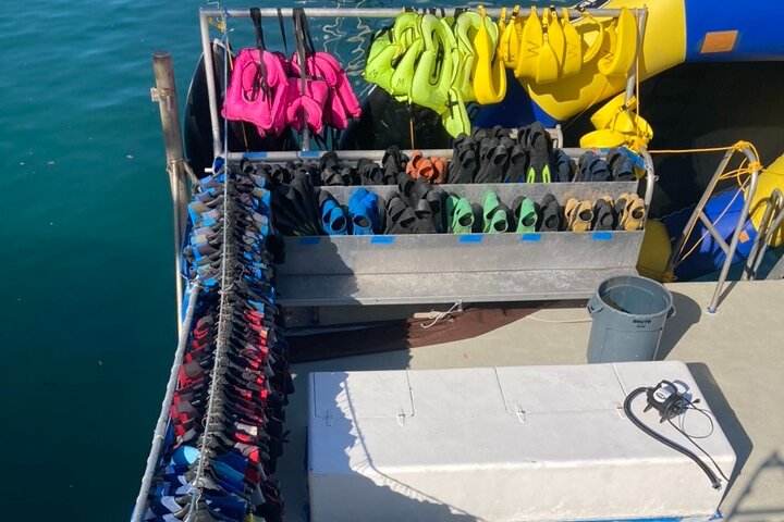 Waikiki Snorkeling Cruise With E SEA DIVER - thumb 4