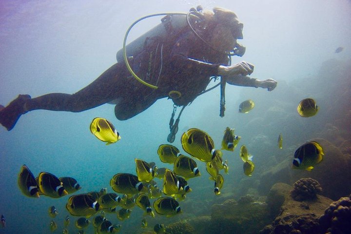 Kauai's Ultimate South Shore 2 Tank Dive (Certified Divers Only) - thumb 0