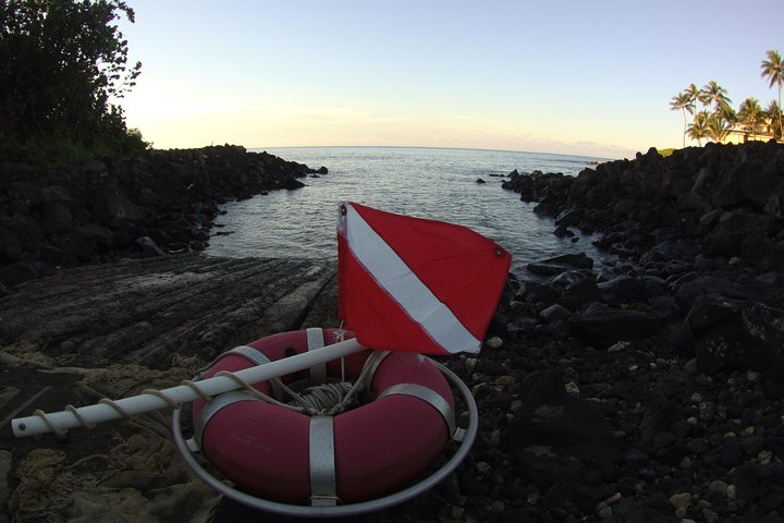Kauai's Ultimate South Shore 2 Tank Dive (Certified Divers Only) - thumb 4