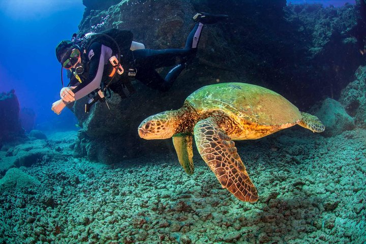 Kauai's Ultimate South Shore 2 Tank Dive (Certified Divers Only) - thumb 5