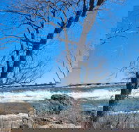 Small group niagara falls tour 12 max - Accommodation Denver