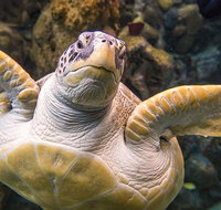 Tampa's ZooQuarium Admission - Accommodation Denver