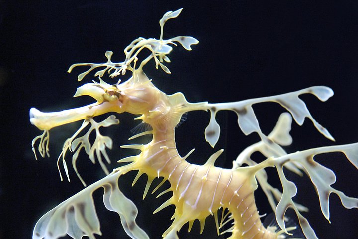 Tampa's ZooQuarium Admission - thumb 2