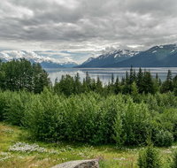Alaska Wildlife Day Tour with Free Hotel Pickup - Accommodation Denver