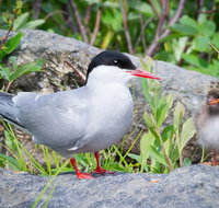 Alaska Wildlife Tour - Accommodation Denver