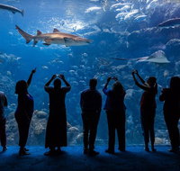 Skip the Line The Florida Aquarium in Tampa Bay Ticket - Accommodation Denver
