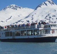 Portage Glacier Cruise and Wildlife Explorer Tour - Accommodation Denver