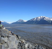 Wildlife and Glaciers with a walk in the Rainforest - Accommodation Denver