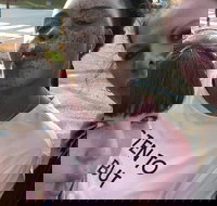 Scavenger Hunt Adventure in Pittsburgh by Crazy Dash - Accommodation Denver