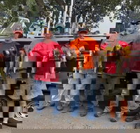 Lake Erie Walleye Fishing Charters - Accommodation Denver