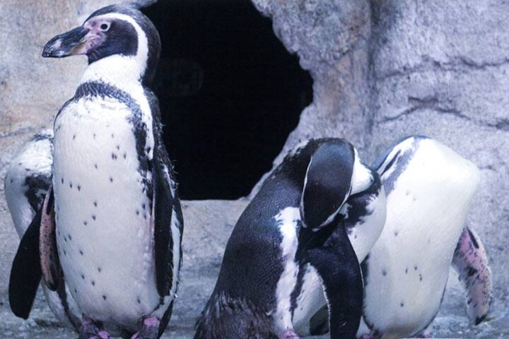 Small Group Tour To Niagara Falls And Old Fort Niagara - thumb 2