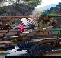 Jeep Bison Safari - Custer State Park - Accommodation Denver