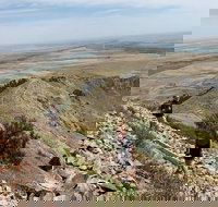 Private - Group Tour Devils Tower - Accommodation Denver