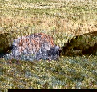 Private Tour - Badlands Delta 9 Missile Museum  Wall Drug - Accommodation Denver