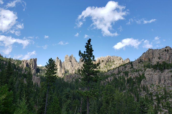 Private Tour Of Mount Rushmore, Crazy Horse And Custer State Park - thumb 3