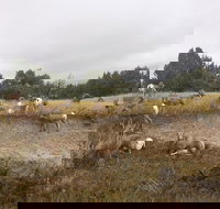 Private Badlands National Park Day Tour - Accommodation Denver