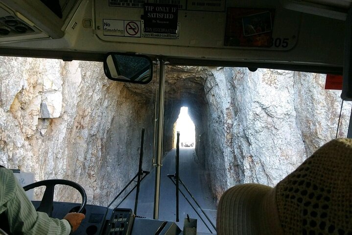 Bus Tour Of Mount Rushmore And The Black Hills - thumb 5