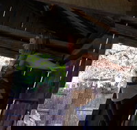 Cosmos Mystery Area Admission - Accommodation Denver