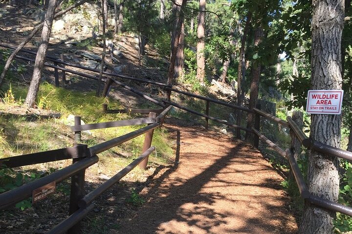 Cosmos Mystery Area Admission - thumb 1