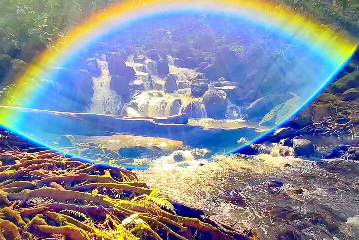 Wailua River And Secret Falls Kayak And Hiking Tour - thumb 4