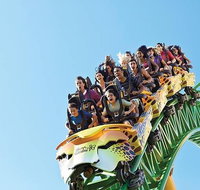 Tampa Bay CityPASS - Accommodation Denver