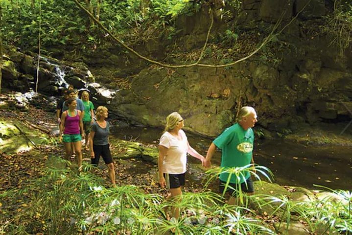 Paddle Kauai Jungle Streams And Hike - thumb 1