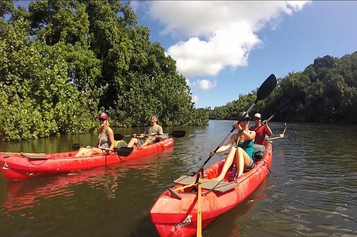 Paddle Kauai Jungle Streams And Hike - thumb 4