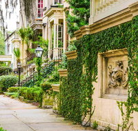 Savannah Land  Sea Combo City Sightseeing Trolley Tour with Riverboat Cruise - Accommodation Denver
