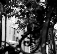 Genteel and Bard's Savannah Dark History and Ghost Walking Tour - Accommodation Denver