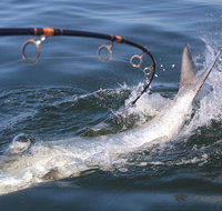 Tampa Bay Fishing Charter 3/4 Day 4 People - Accommodation Denver
