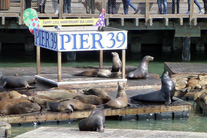 Family Hop (incl. 1-Day Hop-On Hop-Off + Madame Tussauds + 7D Experience) - thumb 0